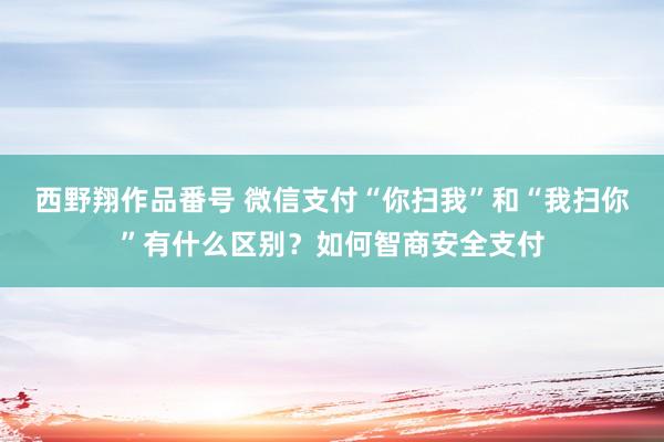 西野翔作品番号 微信支付“你扫我”和“我扫你”有什么区别？如何智商安全支付