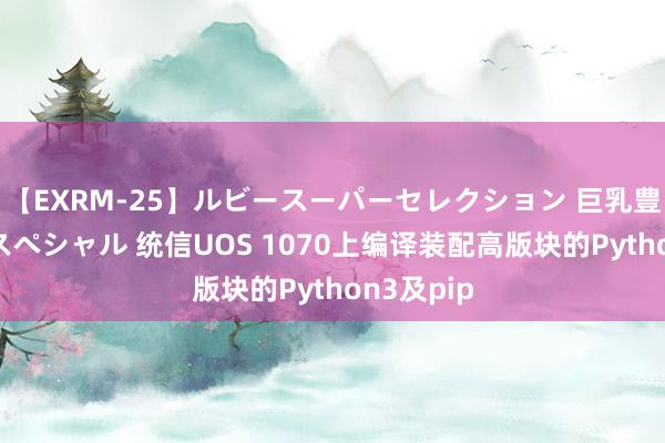 【EXRM-25】ルビースーパーセレクション 巨乳豊満4時間スペシャル 统信UOS 1070上编译装配高版块的Python3及pip