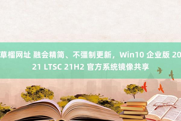 草榴网址 融会精简、不彊制更新，Win10 企业版 2021 LTSC 21H2 官方系统镜像共享