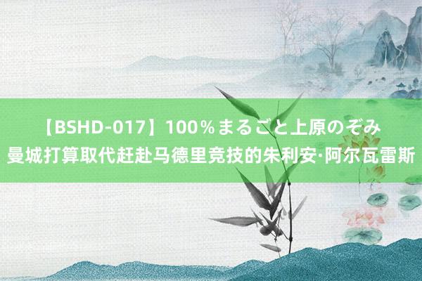 【BSHD-017】100％まるごと上原のぞみ 曼城打算取代赶赴马德里竞技的朱利安·阿尔瓦雷斯