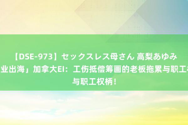 【DSE-973】セックスレス母さん 高梨あゆみ 「企业出海」加拿大EI：工伤抵偿筹画的老板拖累与职工权柄！