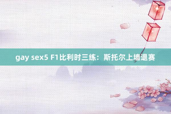 gay sex5 F1比利时三练：斯托尔上墙退赛