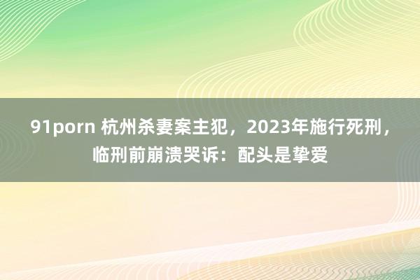 91porn 杭州杀妻案主犯，2023年施行死刑，临刑前崩溃哭诉：配头是挚爱