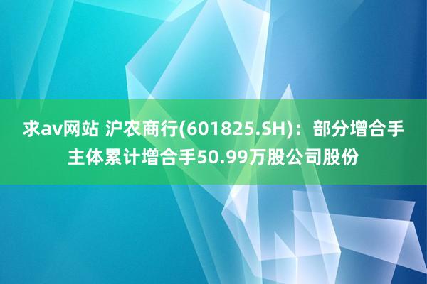 求av网站 沪农商行(601825.SH)：部分增合手主体累计增合手50.99万股公司股份