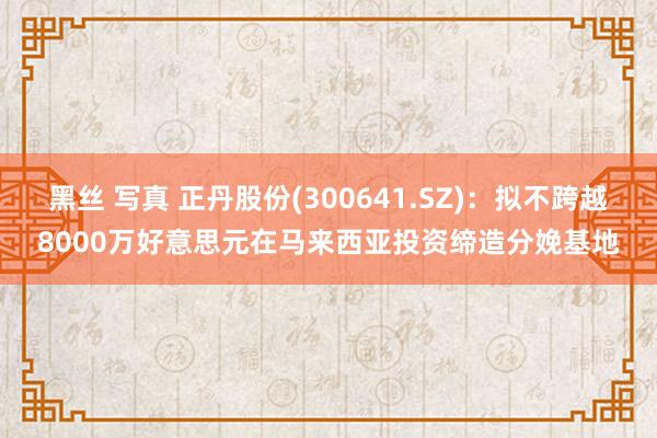 黑丝 写真 正丹股份(300641.SZ)：拟不跨越8000万好意思元在马来西亚投资缔造分娩基地