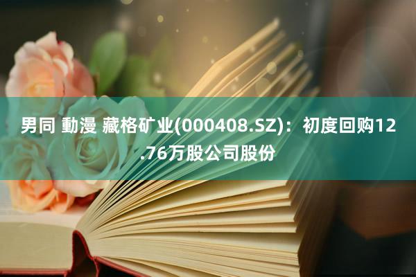 男同 動漫 藏格矿业(000408.SZ)：初度回购12.76万股公司股份