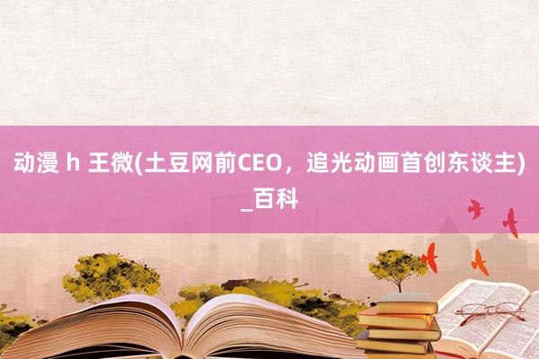 动漫 h 王微(土豆网前CEO，追光动画首创东谈主)_百科