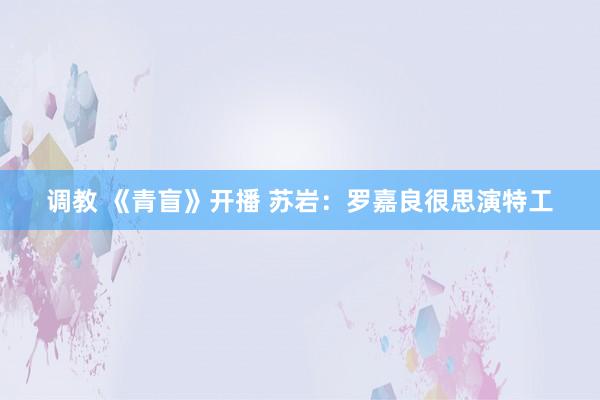 调教 《青盲》开播 苏岩：罗嘉良很思演特工