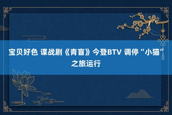 宝贝好色 谍战剧《青盲》今登BTV 调停“小猫”之旅运行