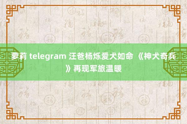 萝莉 telegram 汪爸杨烁爱犬如命 《神犬奇兵》再现军旅温暖