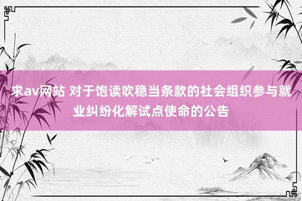 求av网站 对于饱读吹稳当条款的社会组织参与就业纠纷化解试点使命的公告