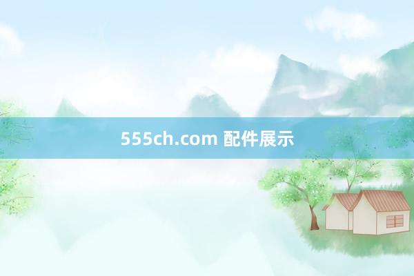 555ch.com 配件展示